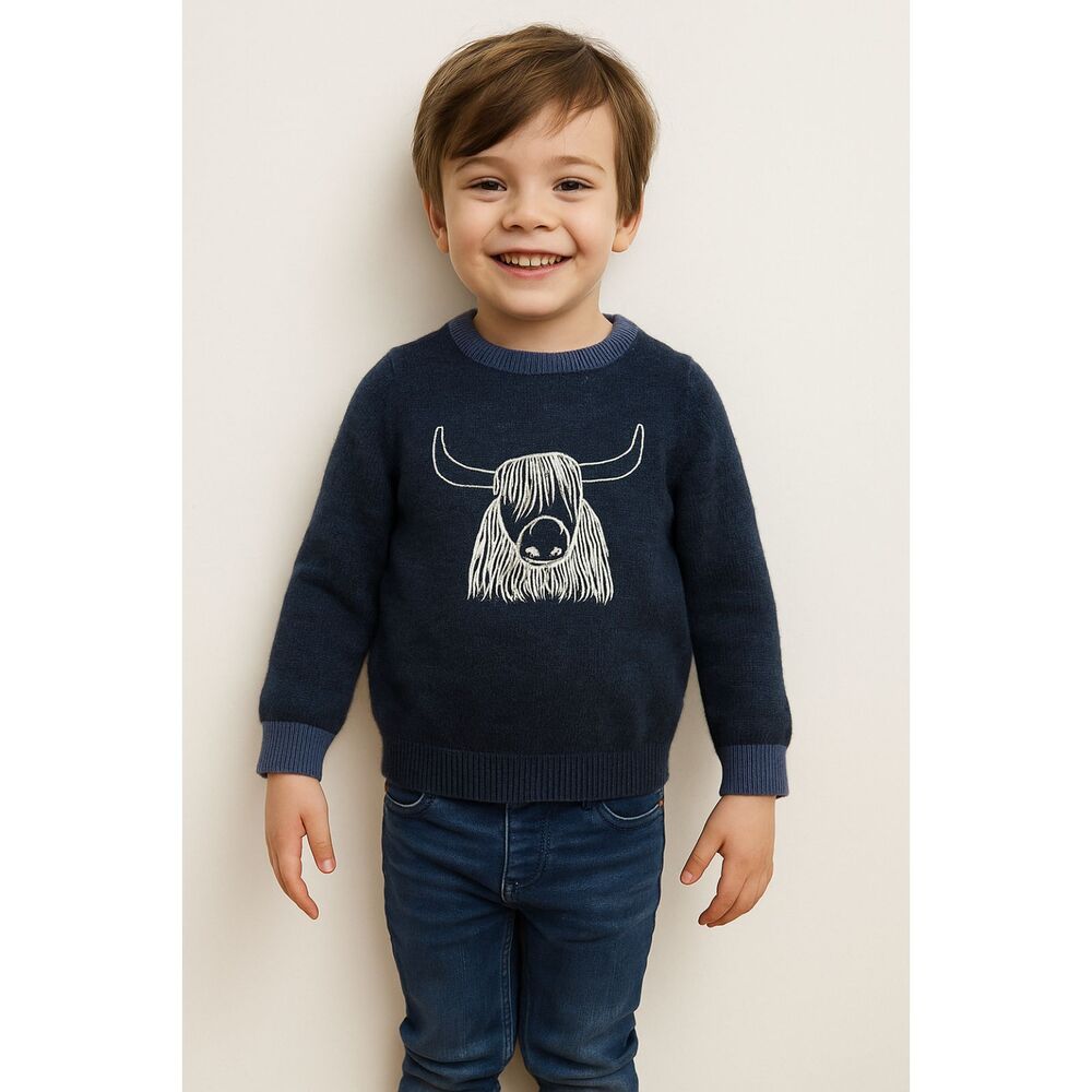 Mini Boden Blue Cow Steer Bull Pullover Sweater Sweatshirt Top  Boys Size 4-5